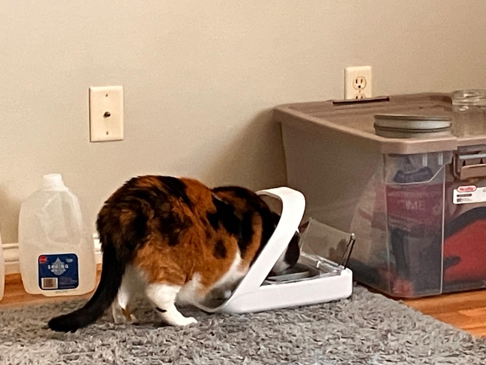 Sure Petcare -SureFlap - SureFeed - Microchip Pet Feeder - Selective-Automatic Pet Feeder Makes Meal Times Stress-Free, Suitable for Both Wet and Dry Food - MPF001 - Customer Photo 1