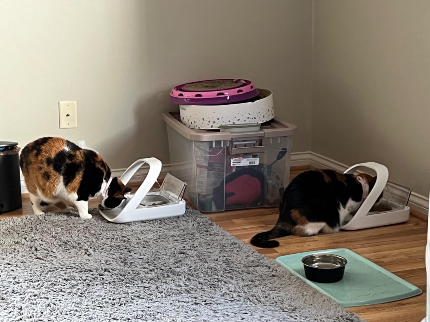 Sure Petcare -SureFlap - SureFeed - Microchip Pet Feeder - Selective-Automatic Pet Feeder Makes Meal Times Stress-Free, Suitable for Both Wet and Dry Food - MPF001 - Customer Photo 2