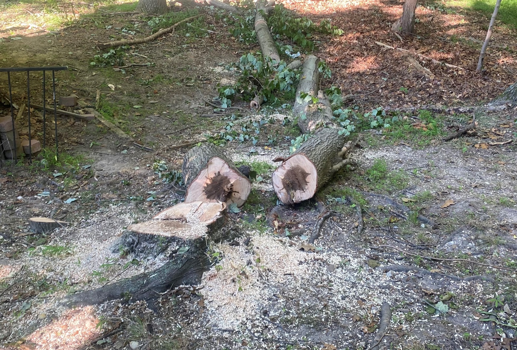 Product - Customer Photo 2