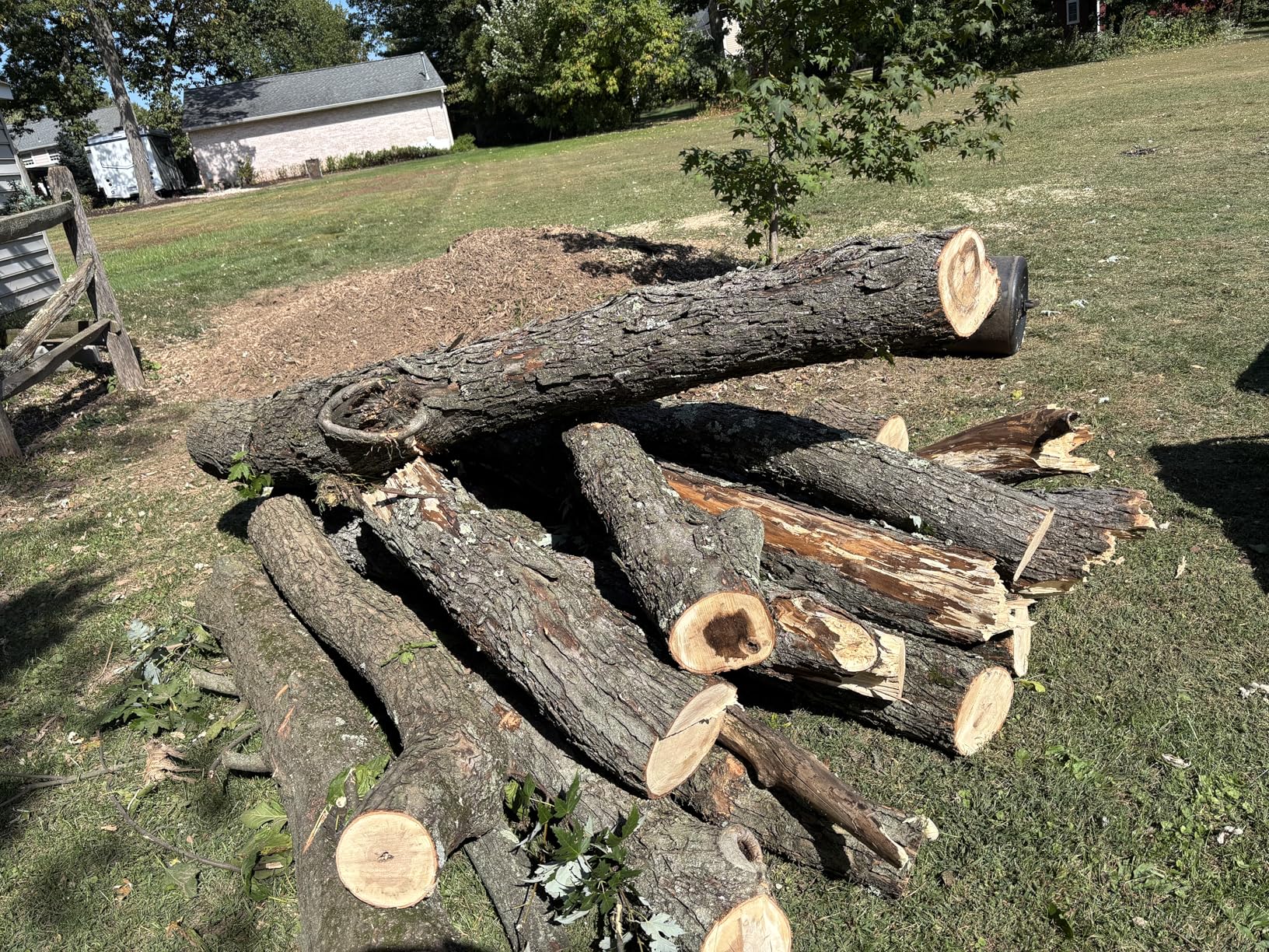 Product - Customer Photo 2