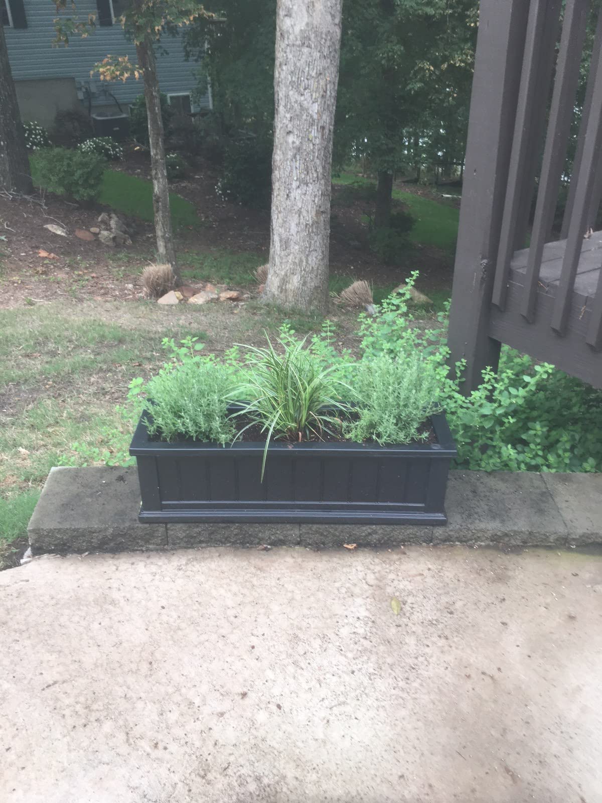 Mayne Cape Cod 4ft Window Box - Black - 48in L x 11in W x 10.8in H - Polyethylene - Built-in Water Reservoir (4841-B) - Customer Photo 1