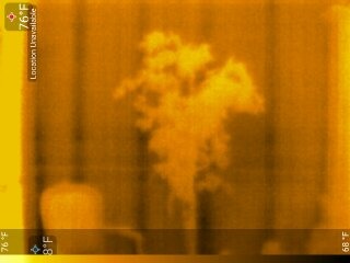 Seek Thermal CompactXR – Outdoor Thermal Imaging Camera for iOS, Black (LT-AAA) - Customer Photo 2