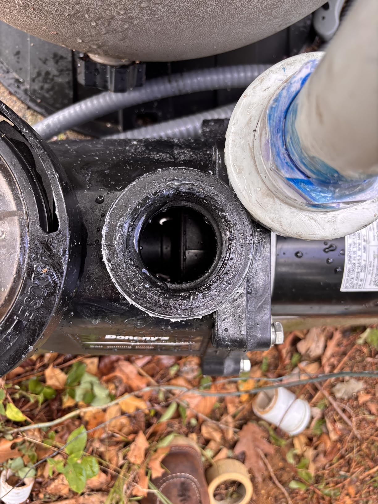 Doheny's Inground Swimming Pool Pro Pump | 1.5 HP, 115V/230V, 97 GPM | Self-Priming, Heavy-Duty, Low-Noise, High-Efficiency | Stainless Steel Shaft, Reinforced Thermoplastic, CSA & ETL Certified - Customer Photo 1