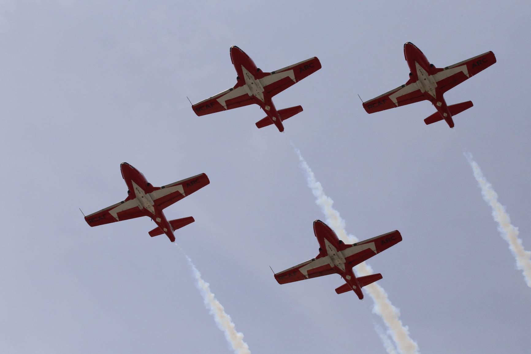 Sigma 150-600mm 5-6.3 Contemporary DG OS HSM Lens for Canon - Customer Photo 2