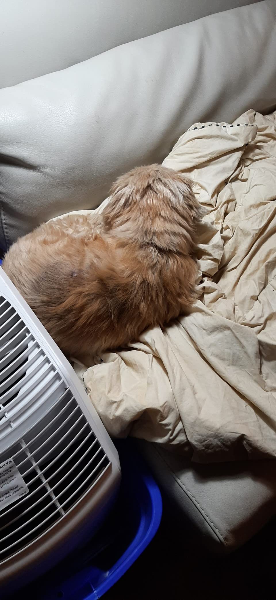 AIRCARE Space Saver Large Evaporative Whole House Commercial 6 Gallon Humidifier for Large Rooms 2,700 sq ft. With Digital Controls, Auto Humidistat and Automatic Shut Off - Customer Photo 2