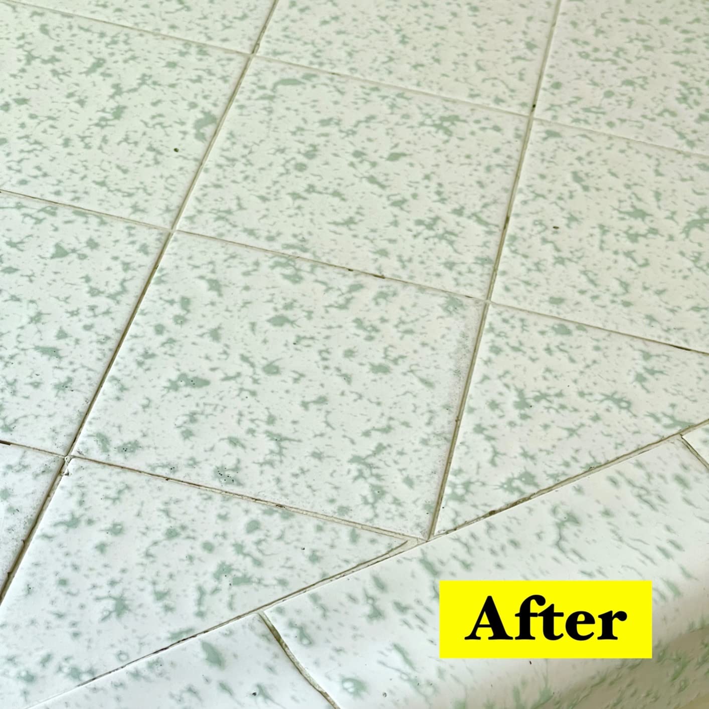 Bissell PowerFresh Lift-Off Pet Steam Mop, Steamer, Tile, Bathroom, Hard Wood Floor Cleaner, 1544A, Orange - Customer Photo 2