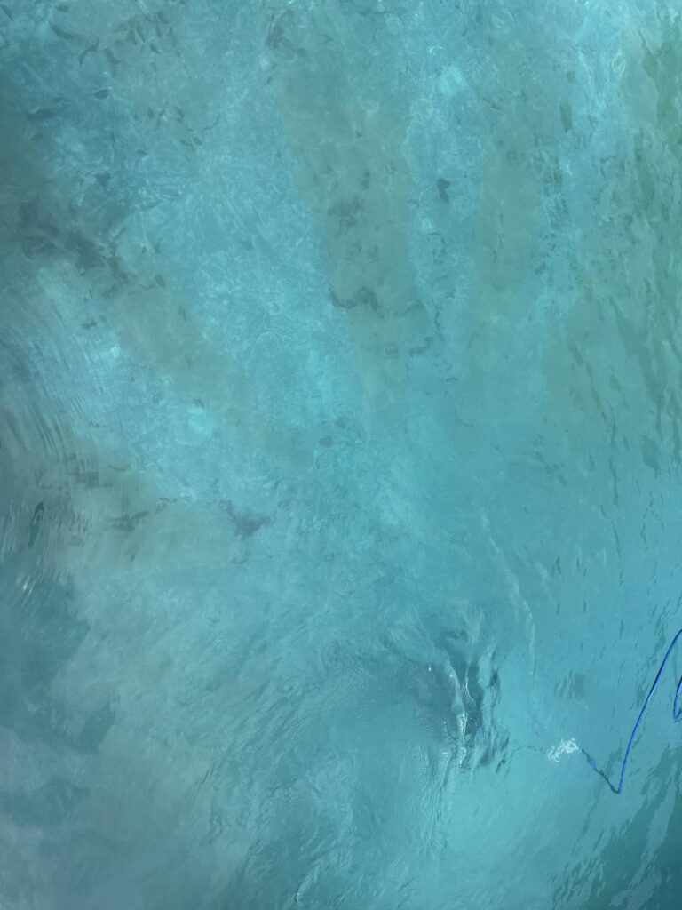 10 Best Robotic Pool Cleaners