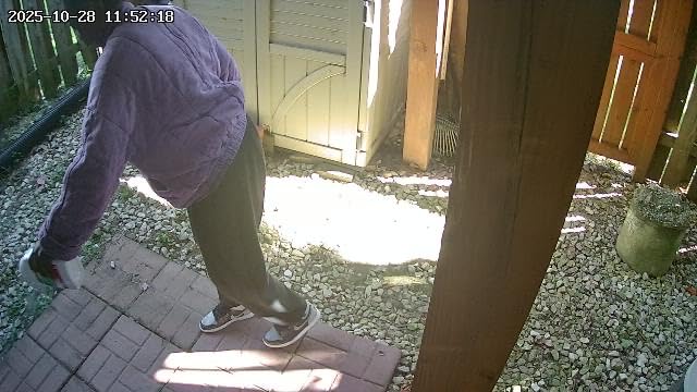 Tomcat Repellents Rodent Repellent Ready-to-Use — Indoor & Outdoor Mouse and Rat Deterrent with Peppermint, Cinnamon & Garlic Essential Oils, 1 Gallon, 1 gal. - Customer Photo 4