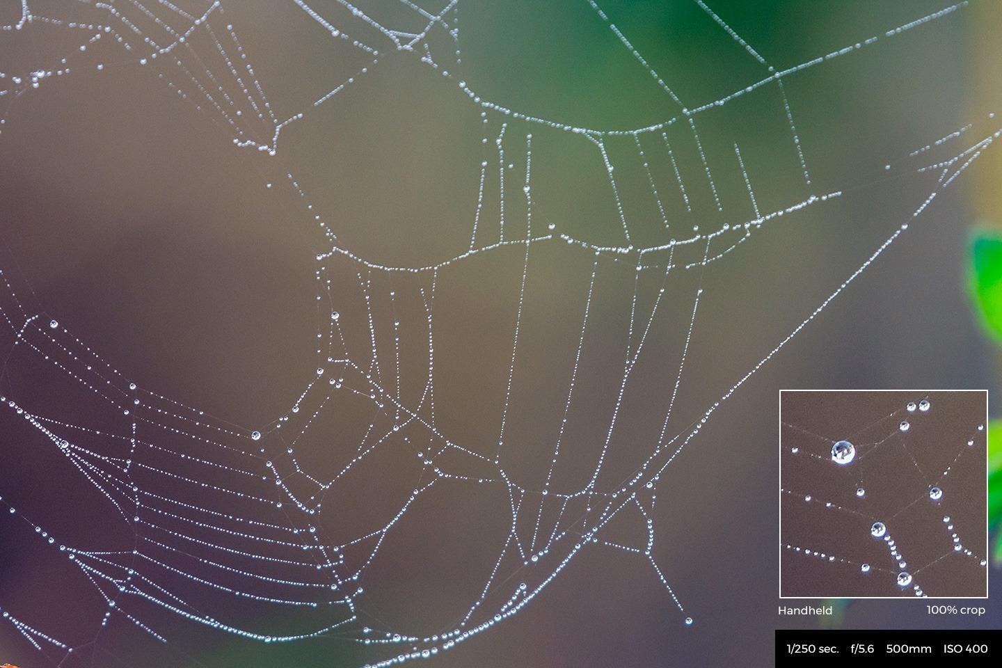 Nikon AF-S FX NIKKOR 200-500mm f/5.6E ED Vibration Reduction Zoom Lens with Auto Focus for Nikon DSLR Cameras customer photo 1