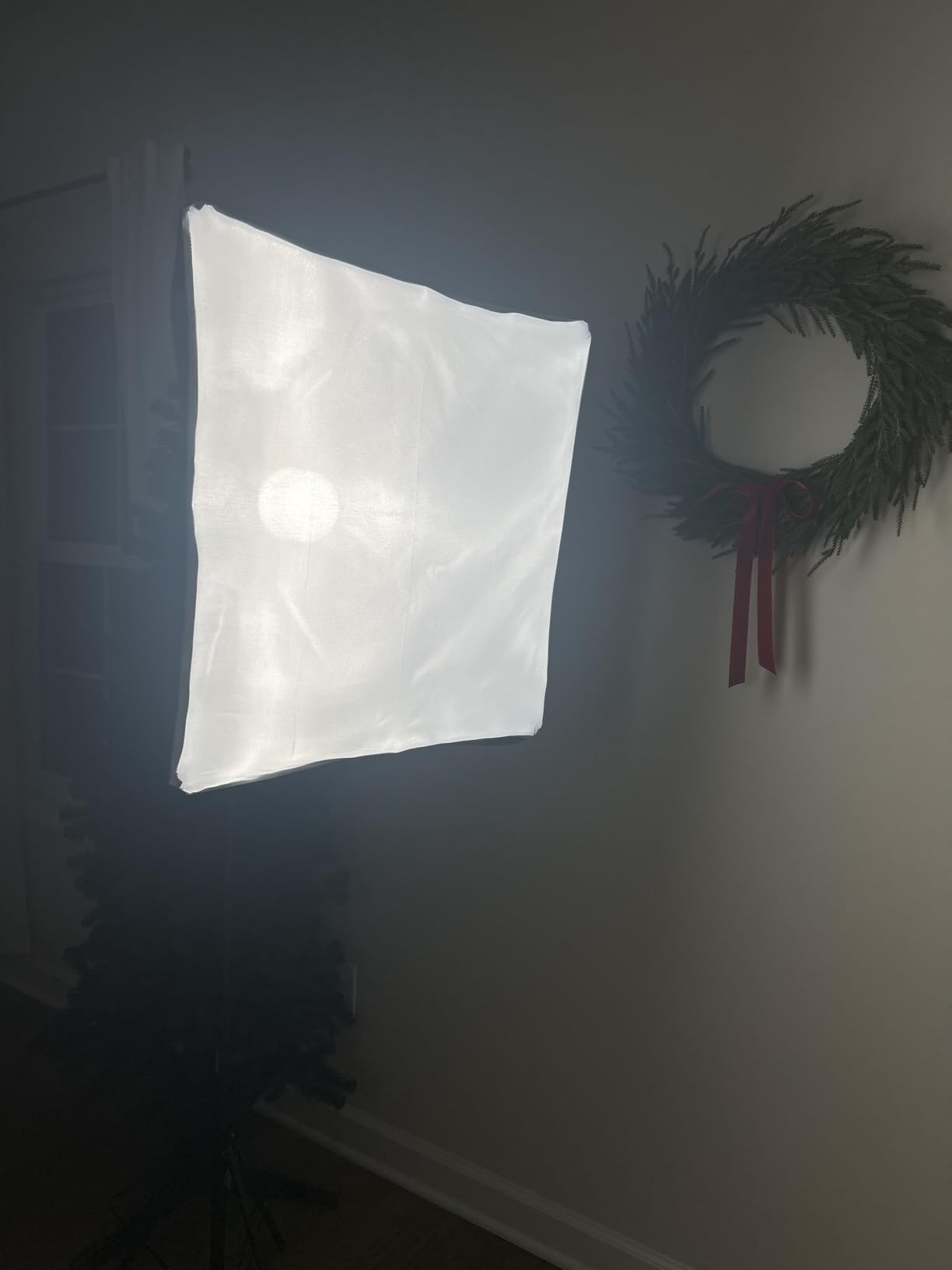 NEEWER 700W Equivalent Softbox Lighting Kit, 2Pack UL Certified 5700K LED Lighting Bulbs, 24x24 inches Softboxes with E26 Socket, Photography Continuous Lighting Kit Photo Studio Equipment - Customer Photo 4