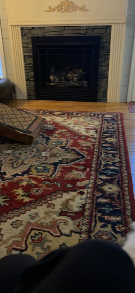 Best Fireplace Inserts for Heating