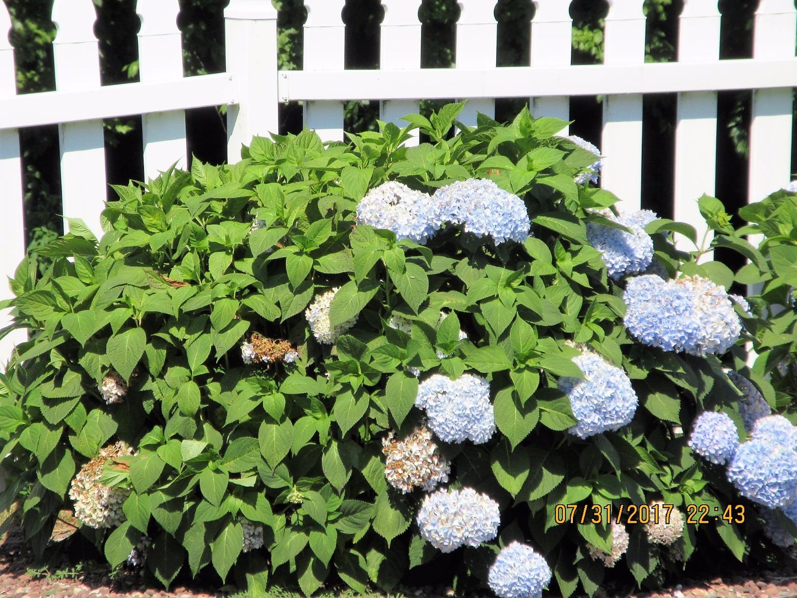 Canon PowerShot ELPH 360 Digital Camera w/ 12x Optical Zoom and Image Stabilization - Wi-Fi & NFC Enabled (Silver) - Customer Photo 1