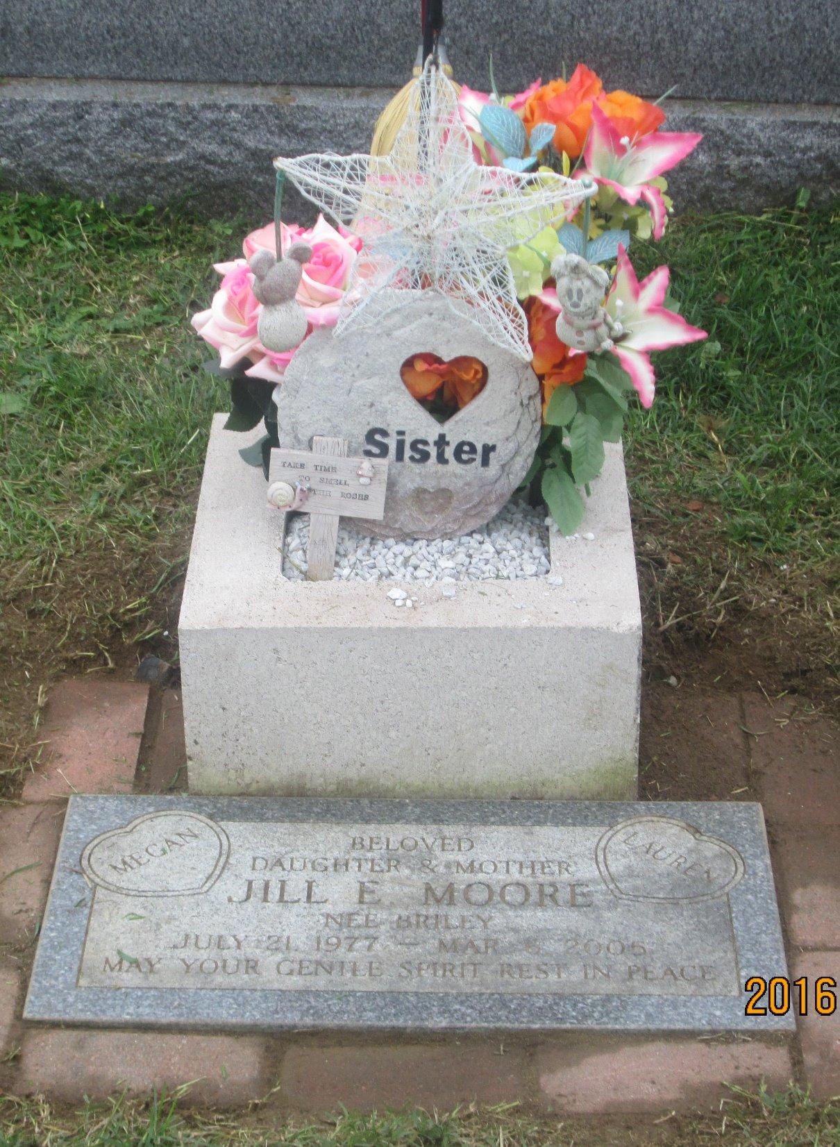 BLACK+DECKER 20V MAX 12 Inch Weed Eater Cordless String Trimmer and Wheeled Edger Lawn Tool with Spool, 2.5Ah Battery and Charger Included, Lightweight, 2 Speed PowerDrive (LST522) - Customer Photo 2