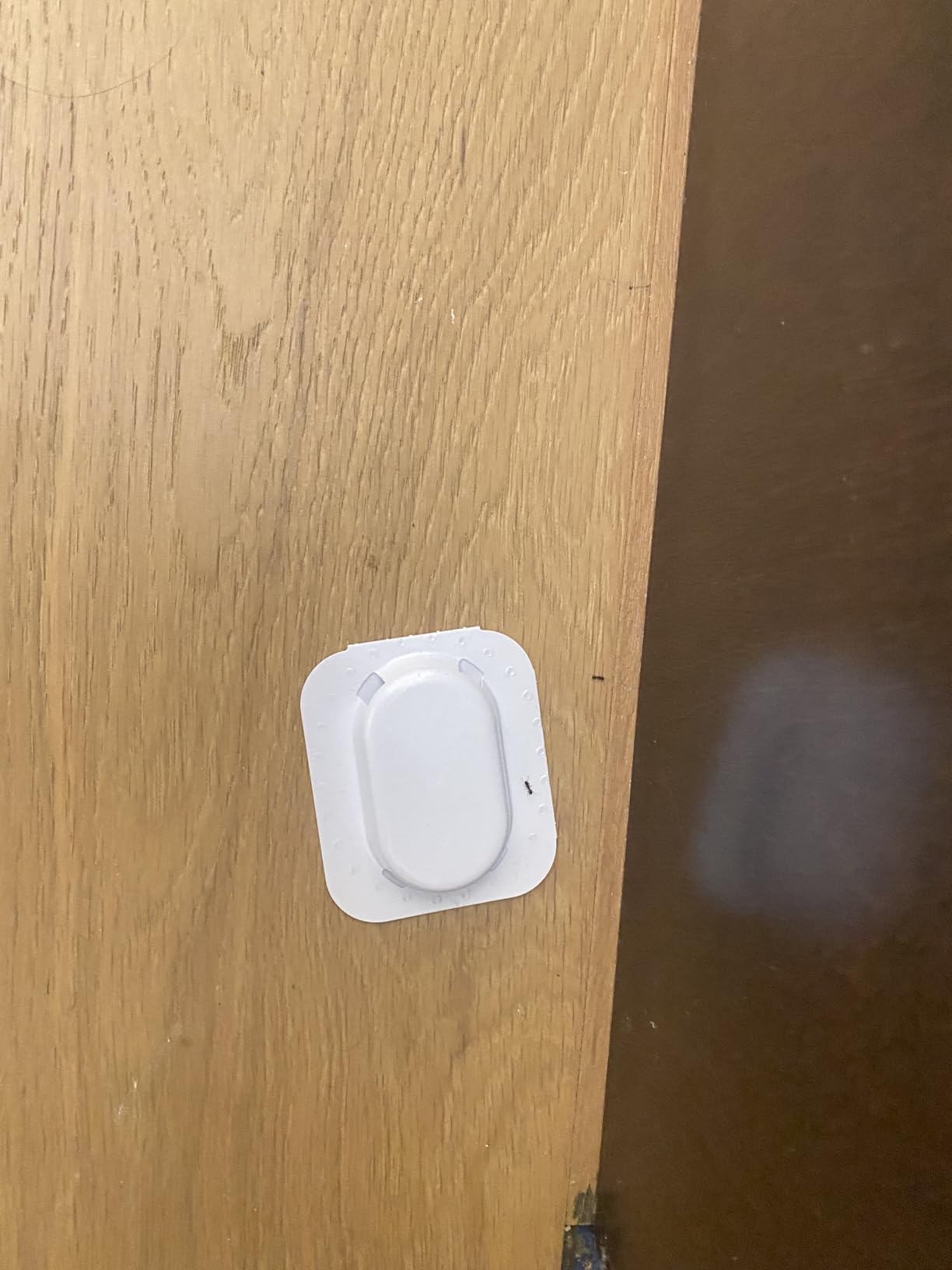 Raid Ant Killer Baits, Child Resistant Bug Killer for Indoor Home Use, 0.24 Oz, 8 Count - Customer Photo 1