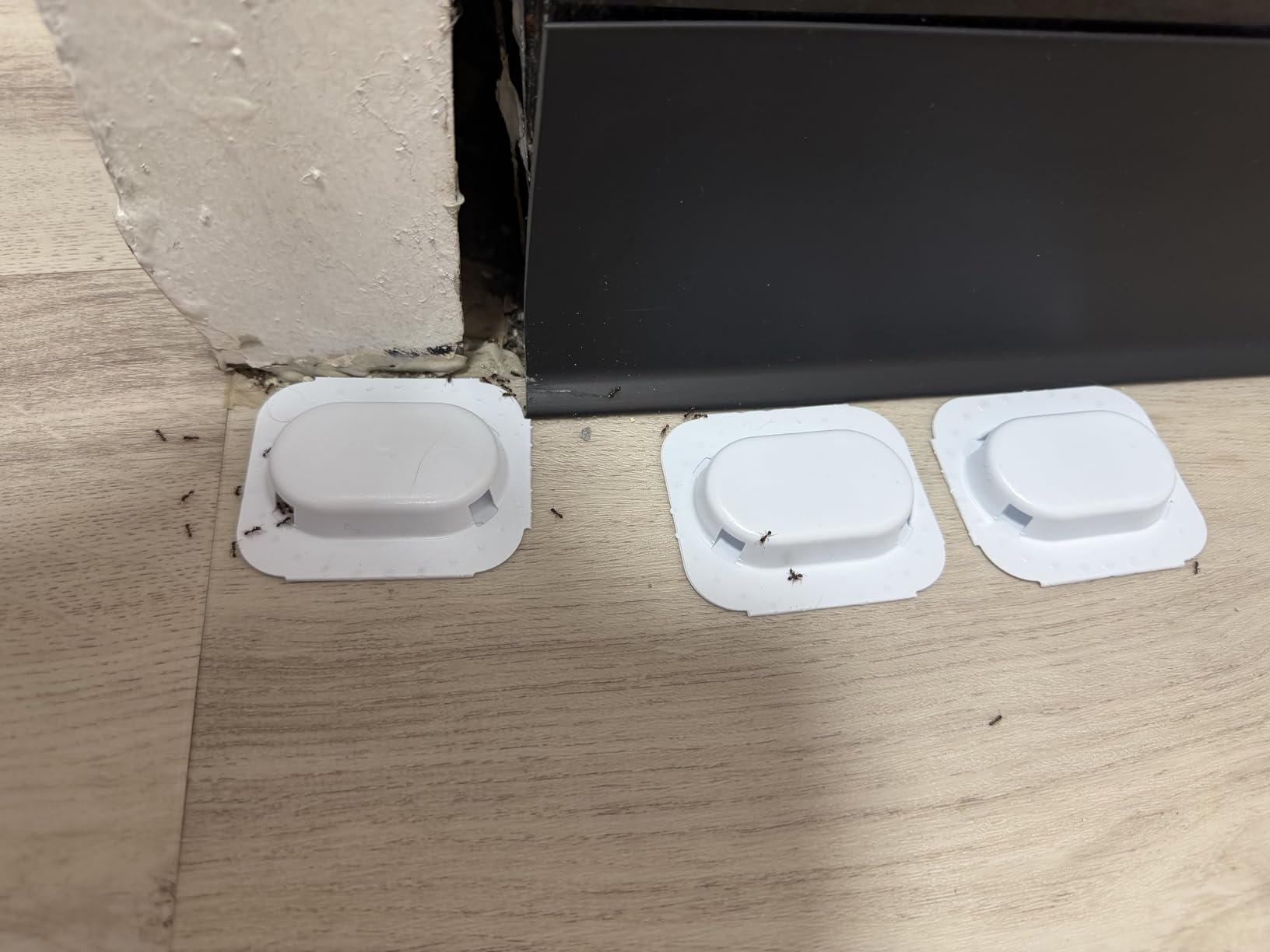 Raid Ant Killer Baits, Child Resistant Bug Killer for Indoor Home Use, 0.24 Oz, 8 Count - Customer Photo 2