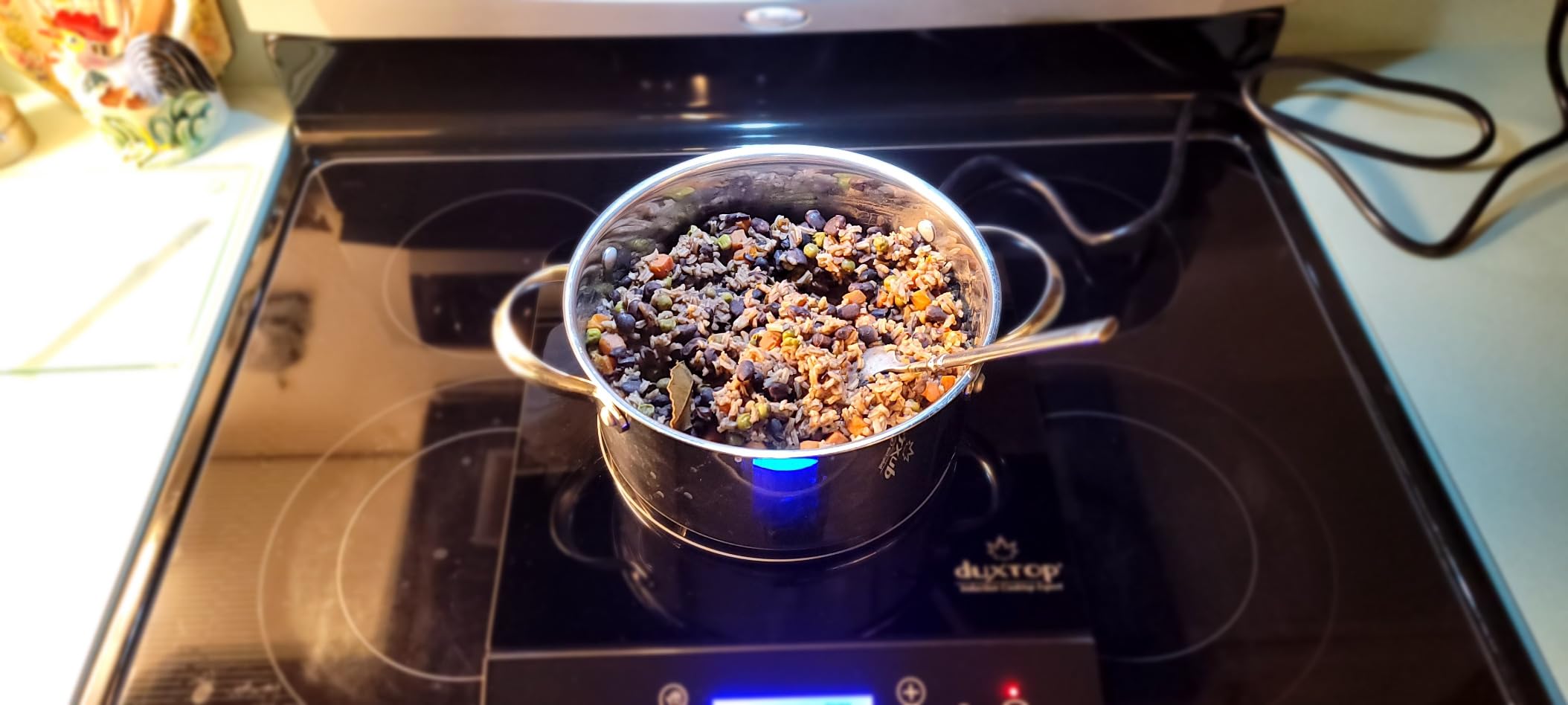 Duxtop Portable Induction Cooktop Burner, Induction Hot Plate with LCD Sensor Touch 1800 Watts, Silver 9600LS/BT-200DZ customer photo 2
