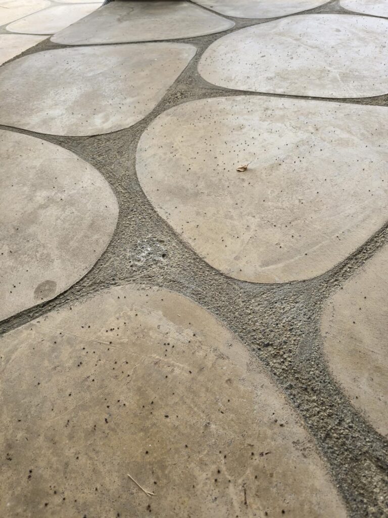 10 Best Flea and Tick Yard Sprays