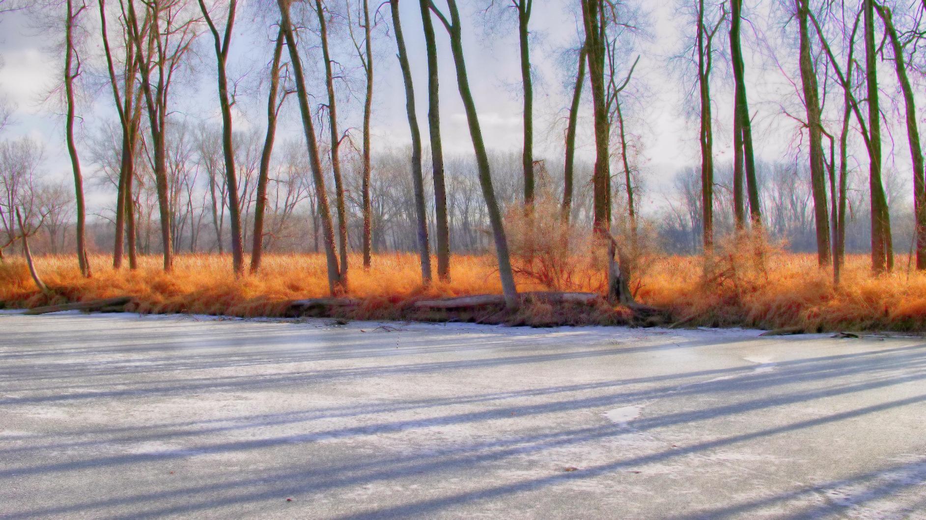 Sigma SD Quattro Digital Camera with 30mm F1.4 DC HSM - Customer Photo 2