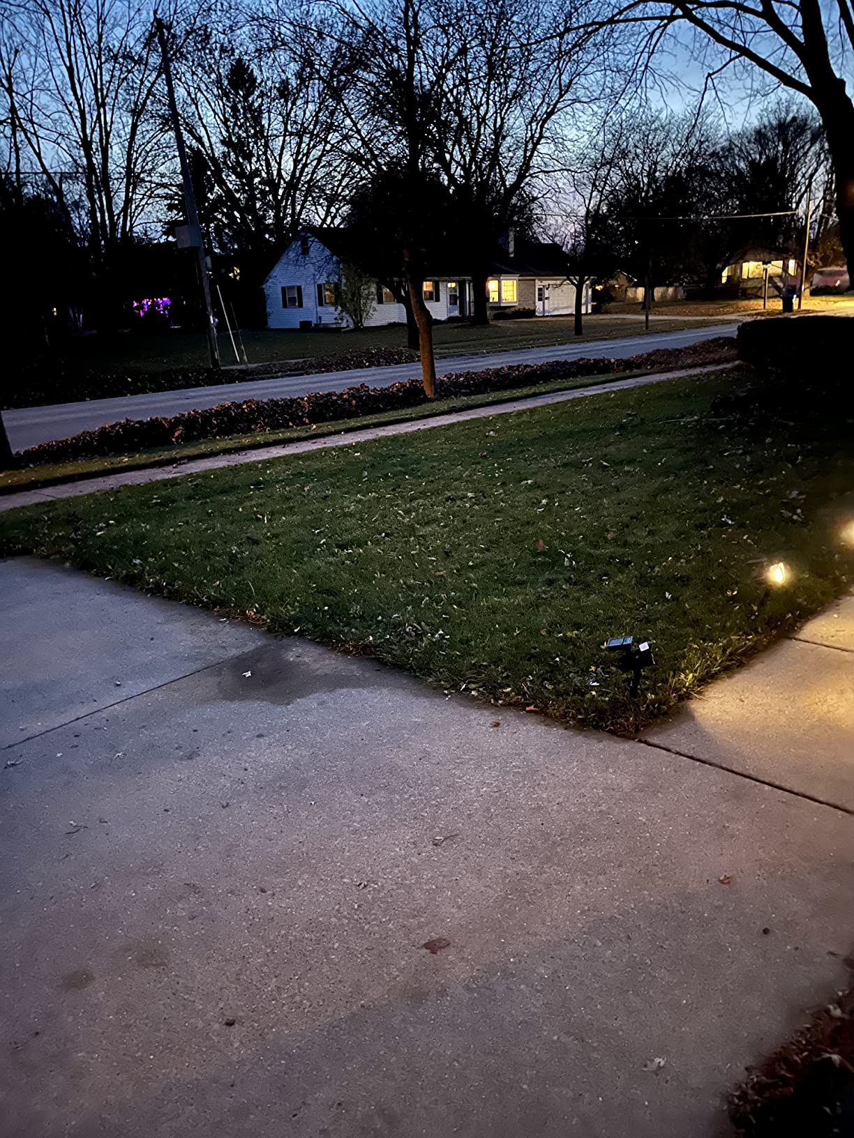 BLACK+DECKER Electric Leaf Blower, Handheld Blowers for Lawn Care, Lightweight, 180 MPH 180 CFM, 7-Amp, Corded (LB700) - Customer Photo 1