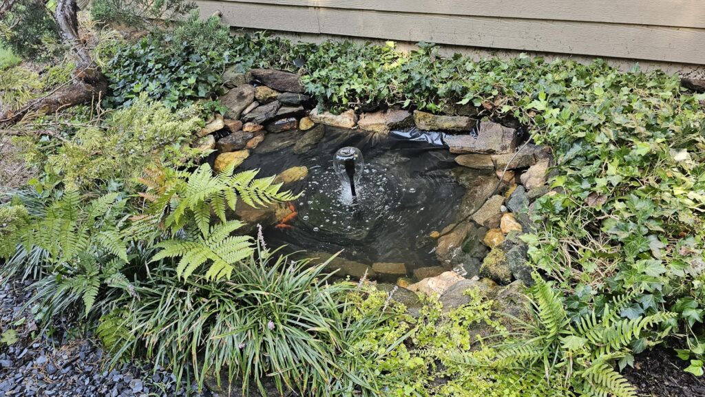 12 Best Pond Pumps and Filters