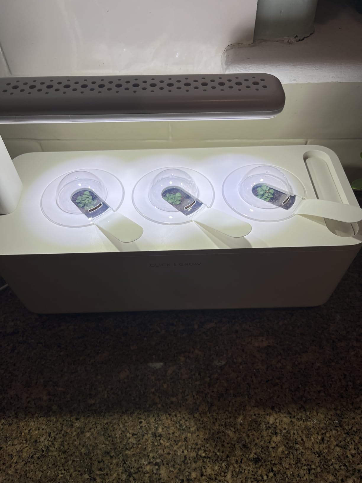 Click & Grow Indoor Herb Garden Kit with Grow Light | Smart Garden for Home Kitchen Windowsill | Easier Than Hydroponics Growing System | Vegetable Gardening Starter (3 Basil Pods Included), White - Customer Photo 1