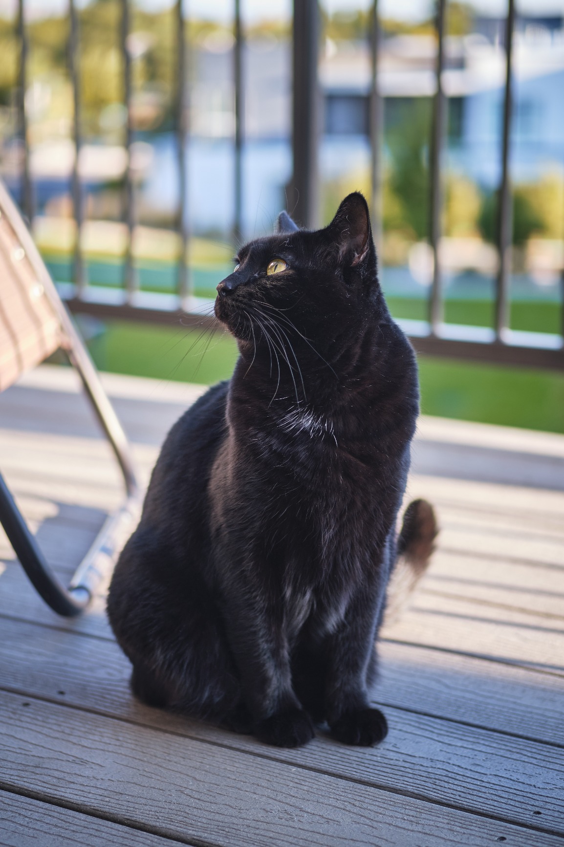 Fujifilm XF50mmF2 R WR Lens - Black - Customer Photo 2