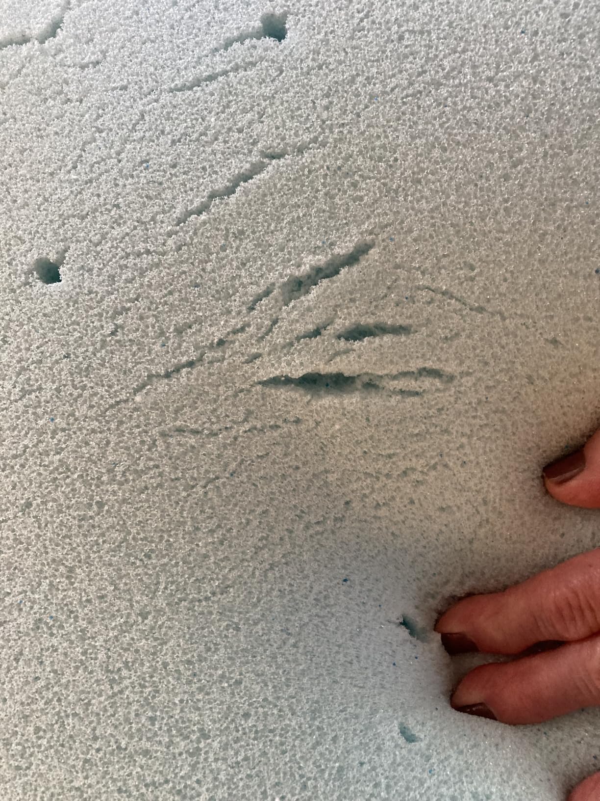 LINENSPA Memory Foam Mattress Topper - 2 Inch Gel Infused Memory Foam - Plush Feel - Cooling and Pressure Relieving - CertiPUR Certified - Dorm Room Essentials - Queen Size - Customer Photo 2