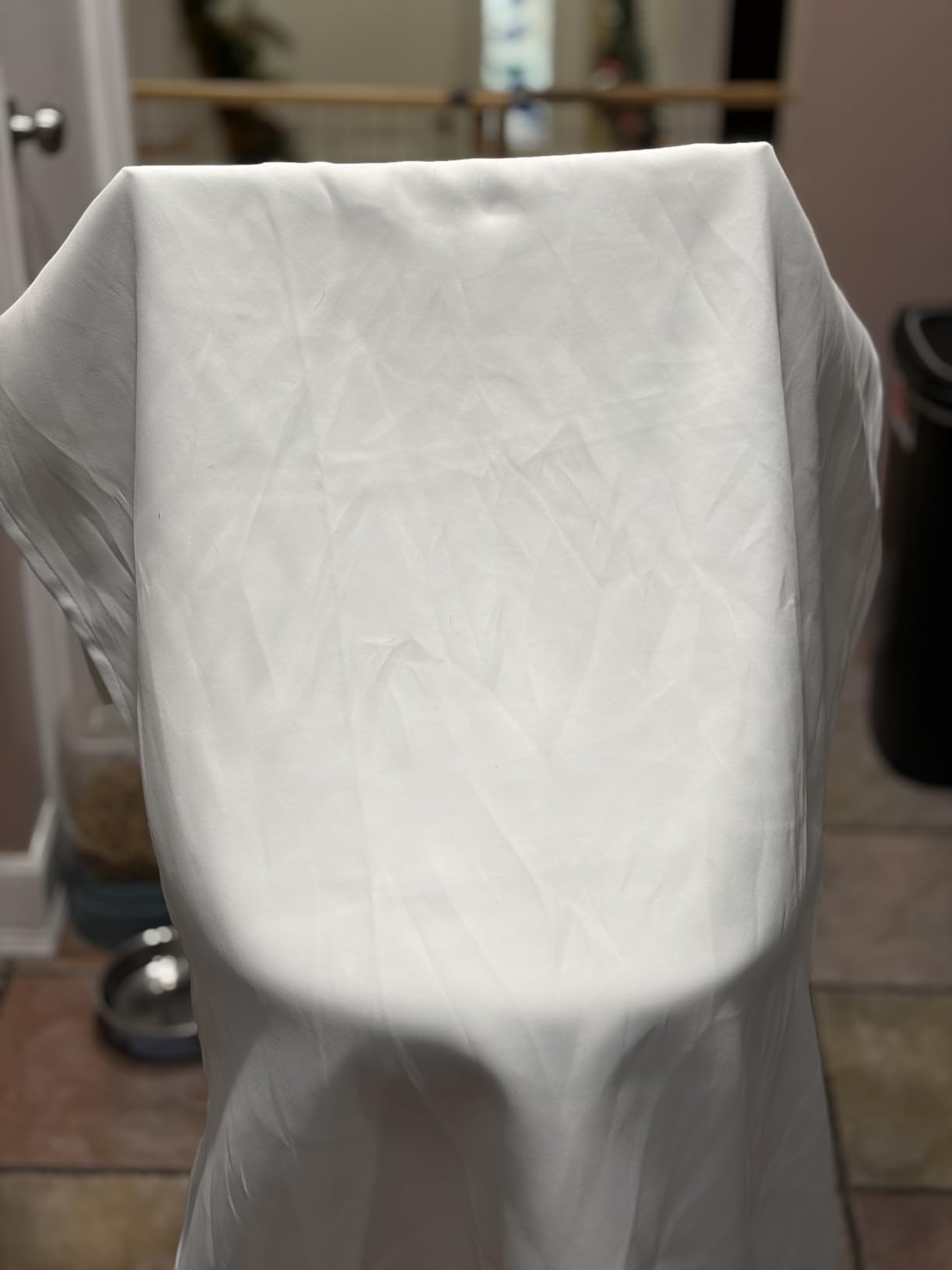 BEAUTURAL Steamer for Clothes, Portable Handheld Garment Fabric Wrinkles Remover, 30-Second Fast Heat-up, Auto-Off, Large Detachable Water Tank - Customer Photo 1