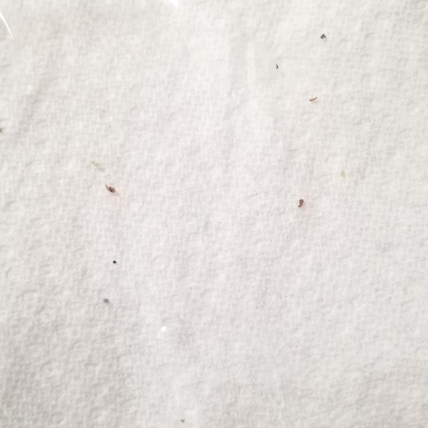 Hot Shot Ready-to-Use Bed Bug Killer Spray, Kills Bed Bugs and Bed Bug Eggs, Kills Fleas and Dust Mites, 32 Ounce - Customer Photo 1