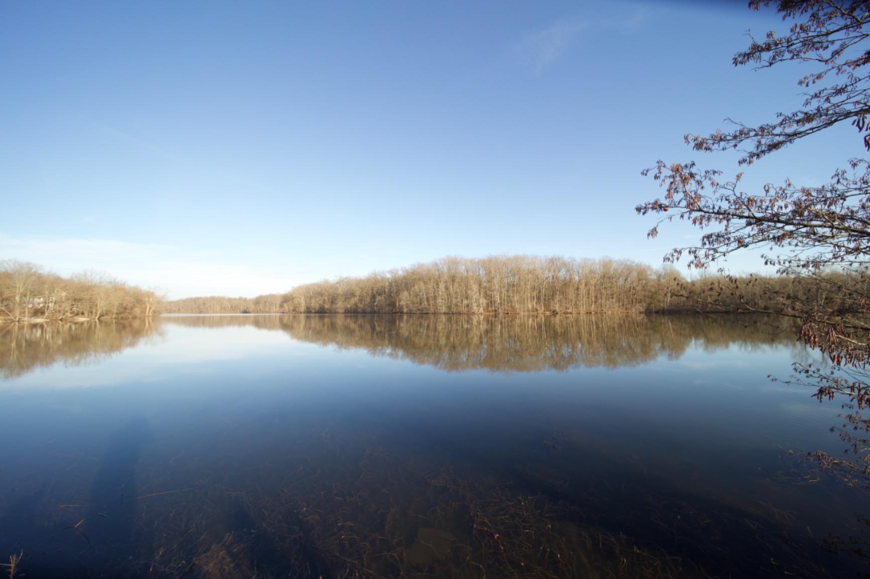 Laowa 12mm f/2.8 Zero-D Ultra-Wide Angle Lens (Canon EF Mount) - Customer Photo 1