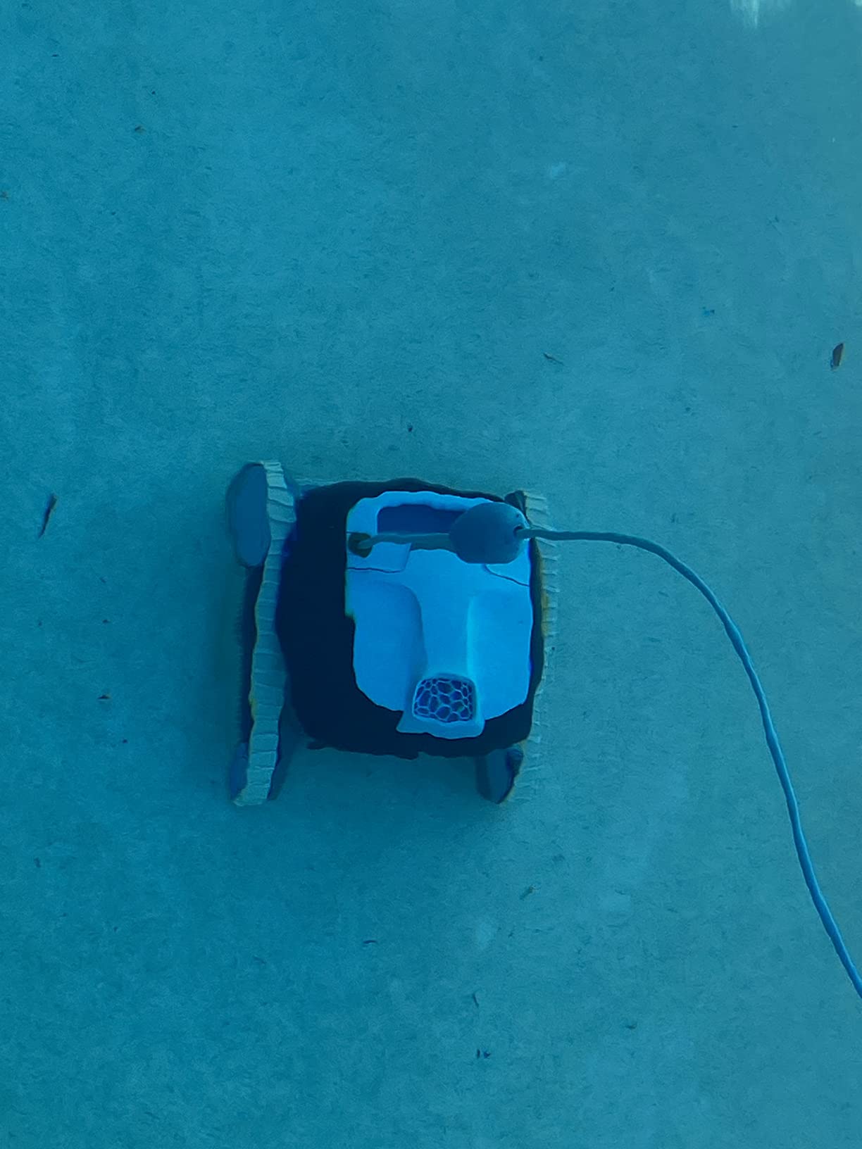 Dolphin Nautilus CC Automatic Robotic Pool Vacuum Cleaner, Wall Climbing Scrubber Brush, Top Load Filter Access, Ideal for Above/In-Ground Pools up to 33 FT in Length - Customer Photo 2