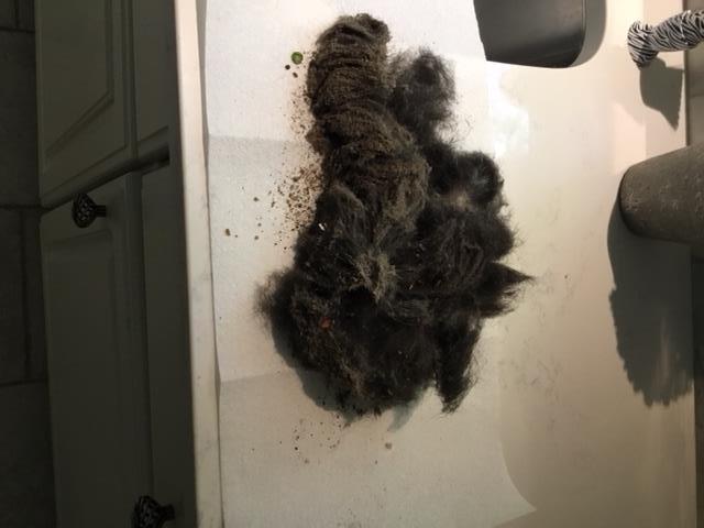 Dyson V8 Animal Cordless Stick Vacuum Cleaner, Iron - Customer Photo 2