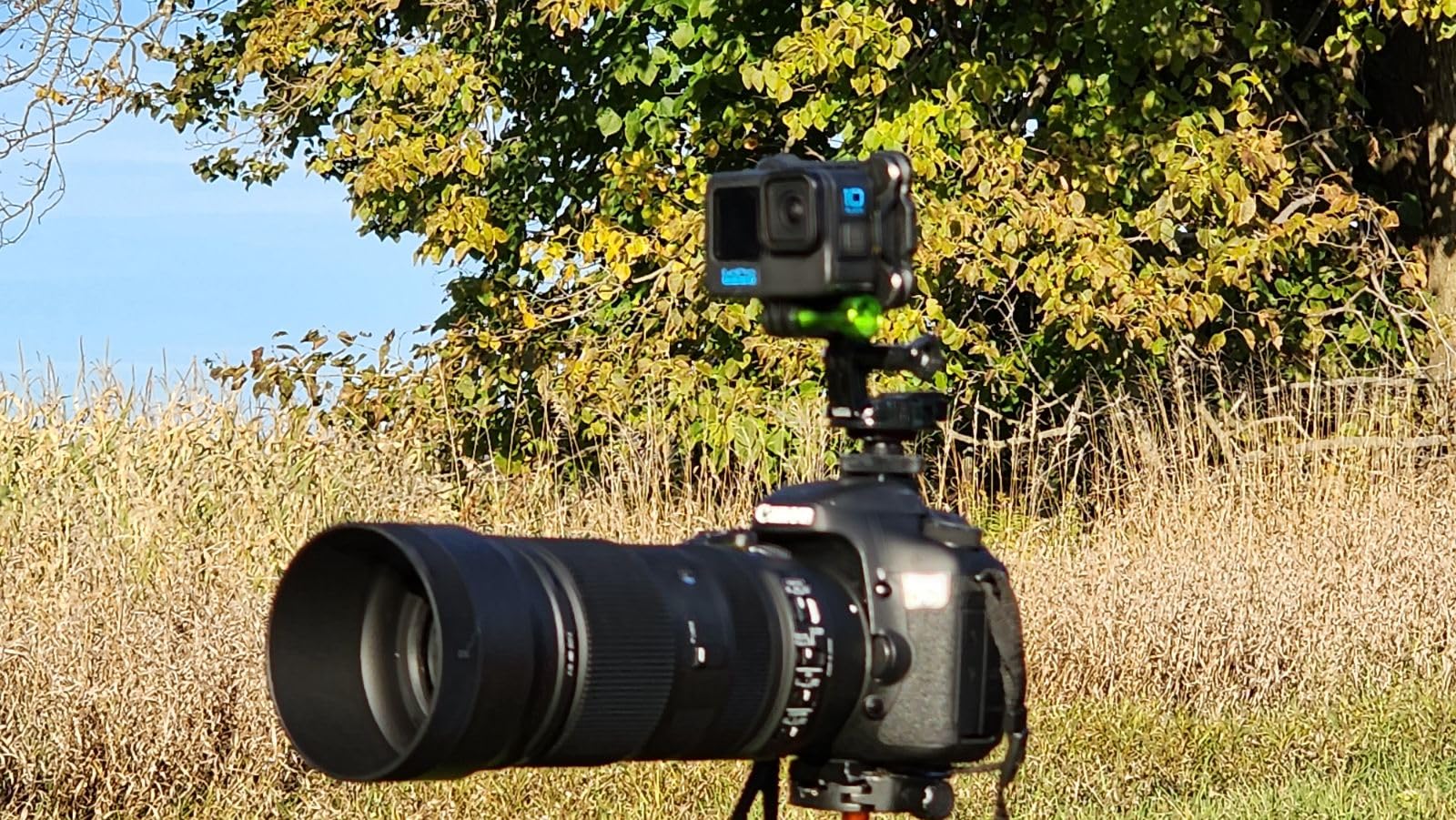 Sigma 100-400mm f/5-6.3 DG OS HSM Contemporary Lens for Canon EF - Customer Photo 1