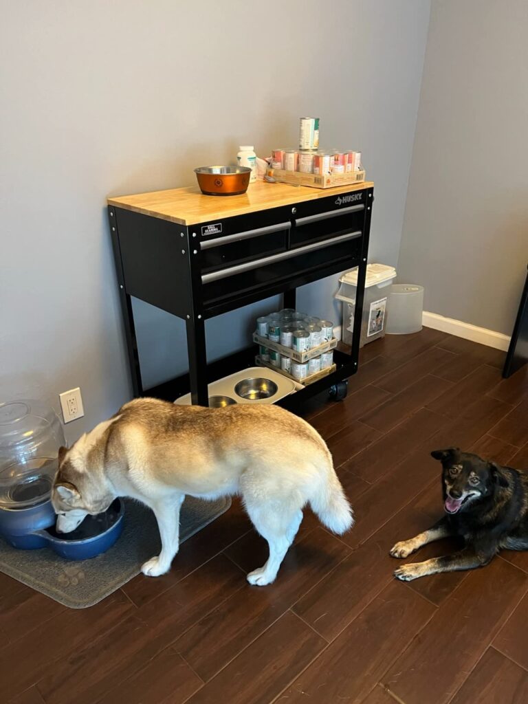 10 Best Tool Chests and Rolling Cabinets