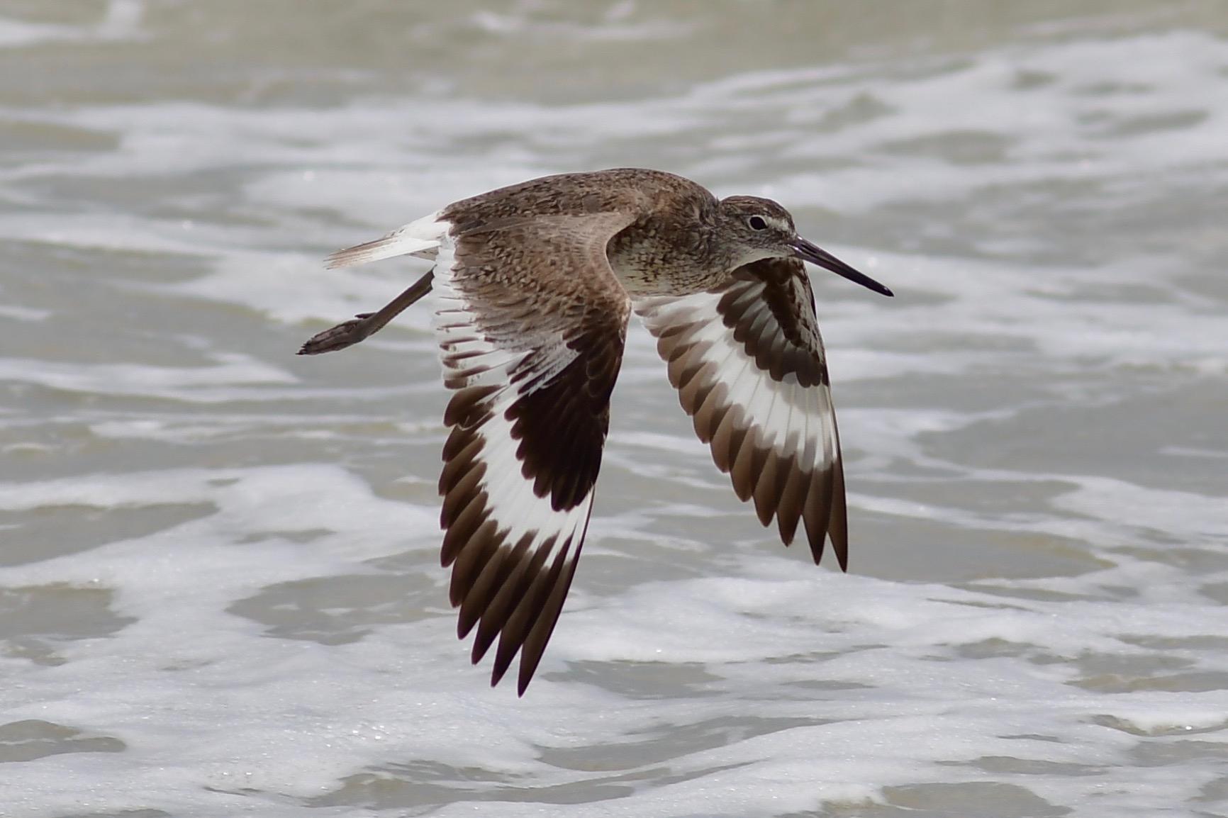 Nikon D7500 20.9MP DSLR Camera with AF-S DX NIKKOR 18-140mm f/3.5-5.6G ED VR Lens customer photo 1