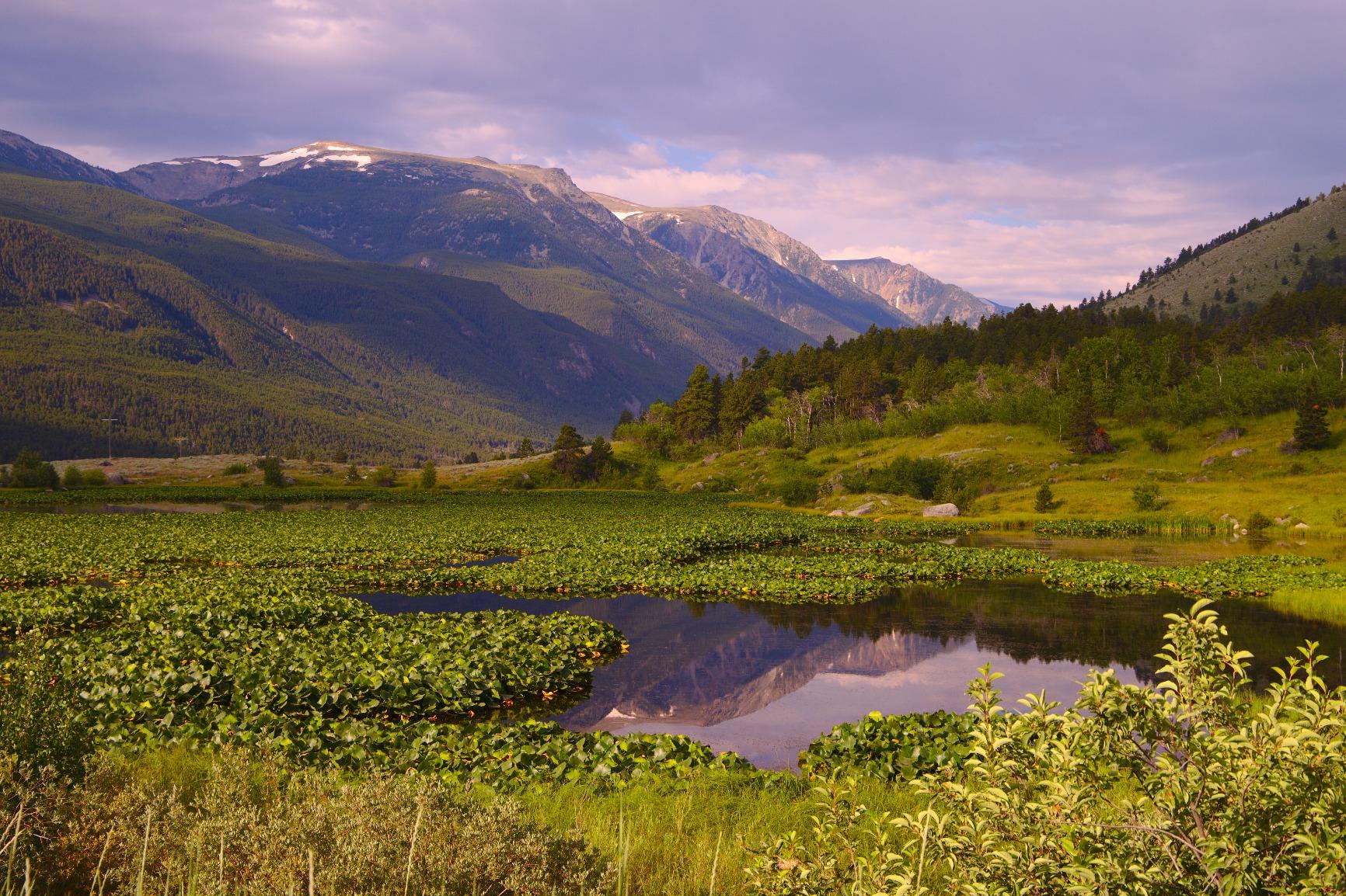 Canon EOS 6D Mark II DSLR Camera with EF 24-105mm USM Lens, WiFi Enabled Black - Customer Photo 2