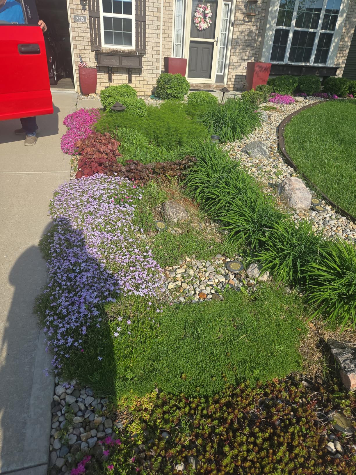 Nature's MACE Rabbit MACE Granules, Rabbit Repellent for Gardens, Lawns, Farms & Landscapes, Treats 1,350 sq ft, Granular Deterrent, 3 Pounds, All-Season Use, Safe for Pets, Children, and Plants - Customer Photo 1