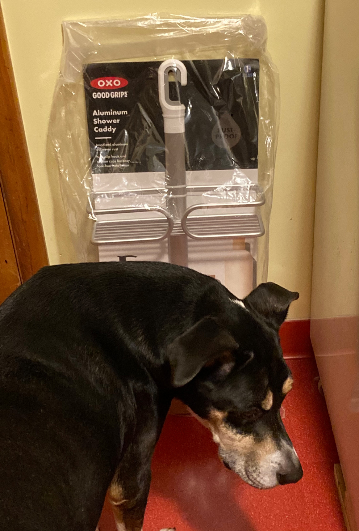 OXO Good Grips 3-Tier Aluminum Shower Caddy - Customer Photo 2