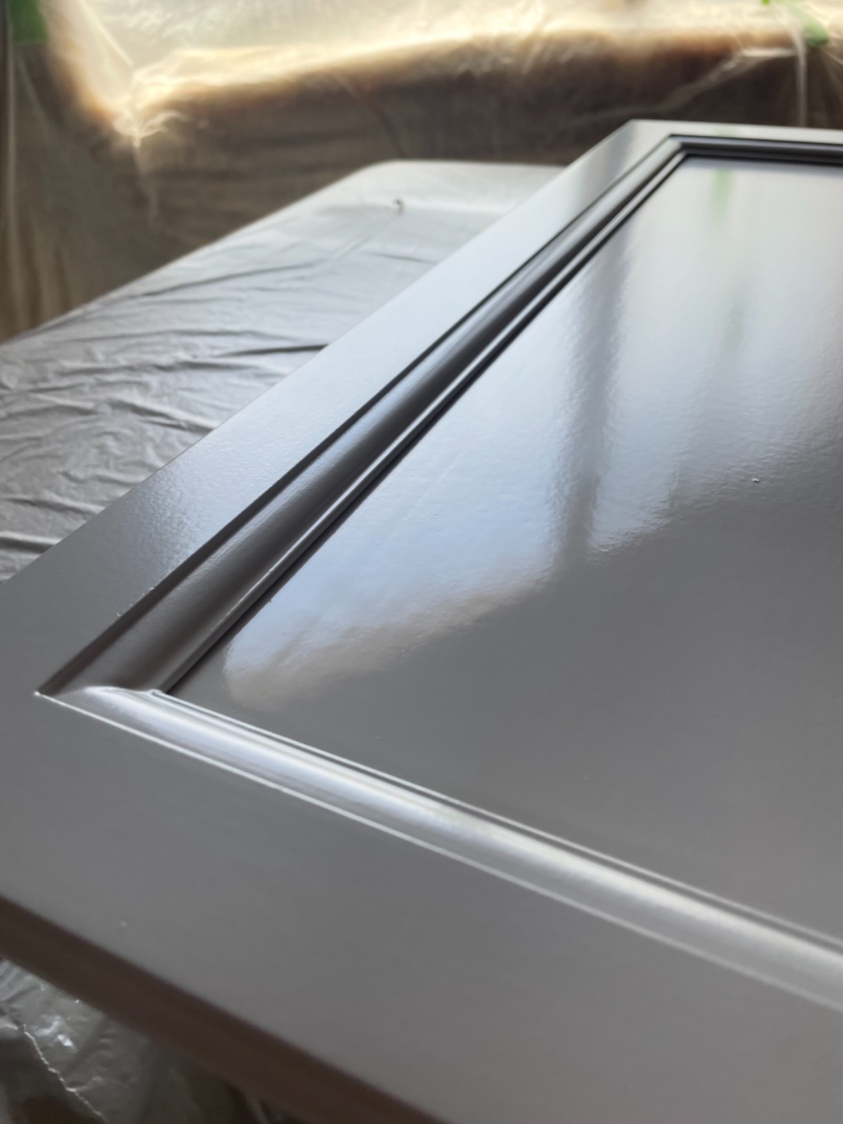 HomeRight Super Finish Max HVLP Paint Sprayer - 450 Watts, Model# C800971.M - Customer Photo 3