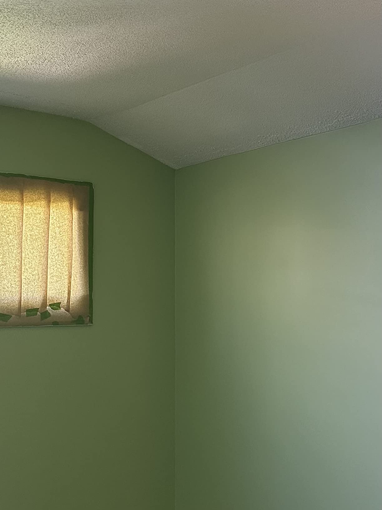 Wooster R335-9 Micro Plush Roller Cover with 5/16