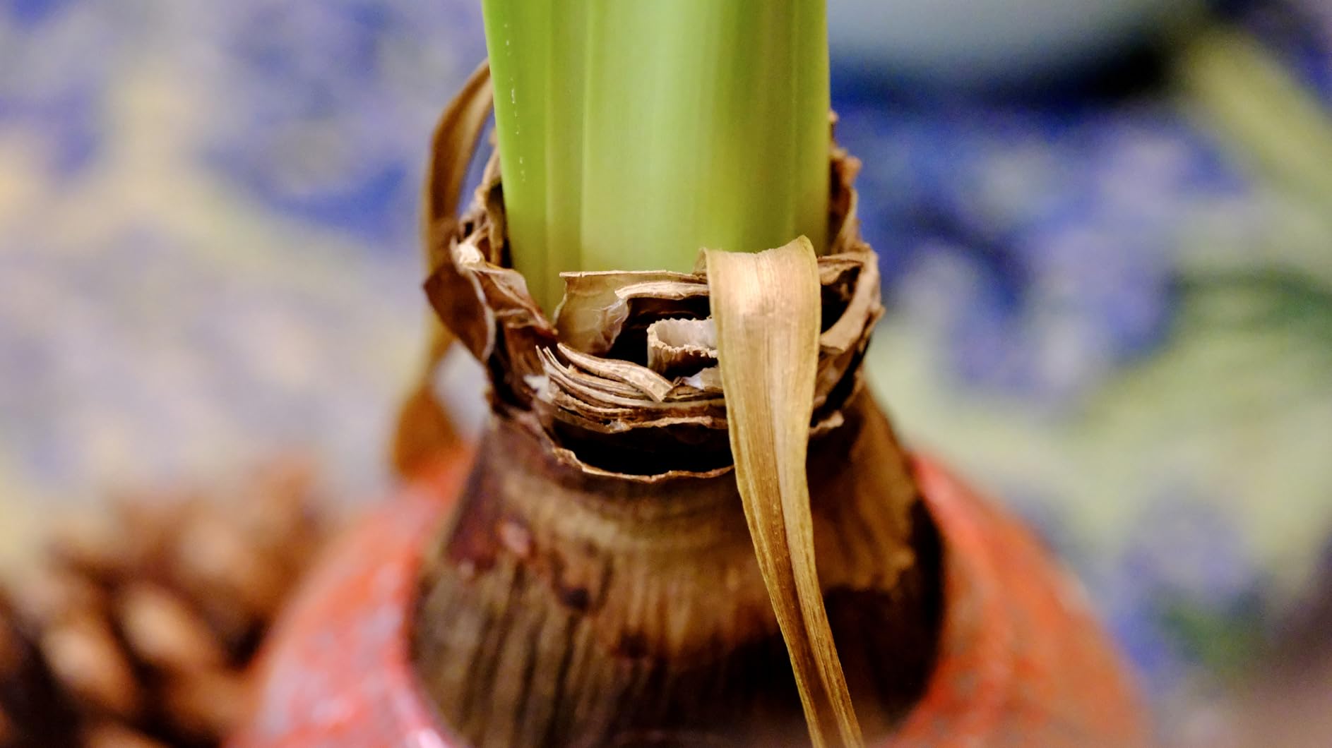 Fujinon XF80mmF2.8 R LM OIS WR Lens - Customer Photo 1