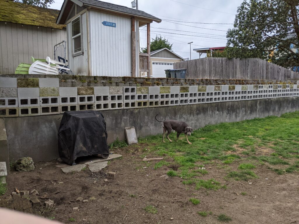 8 Best Retaining Wall Blocks