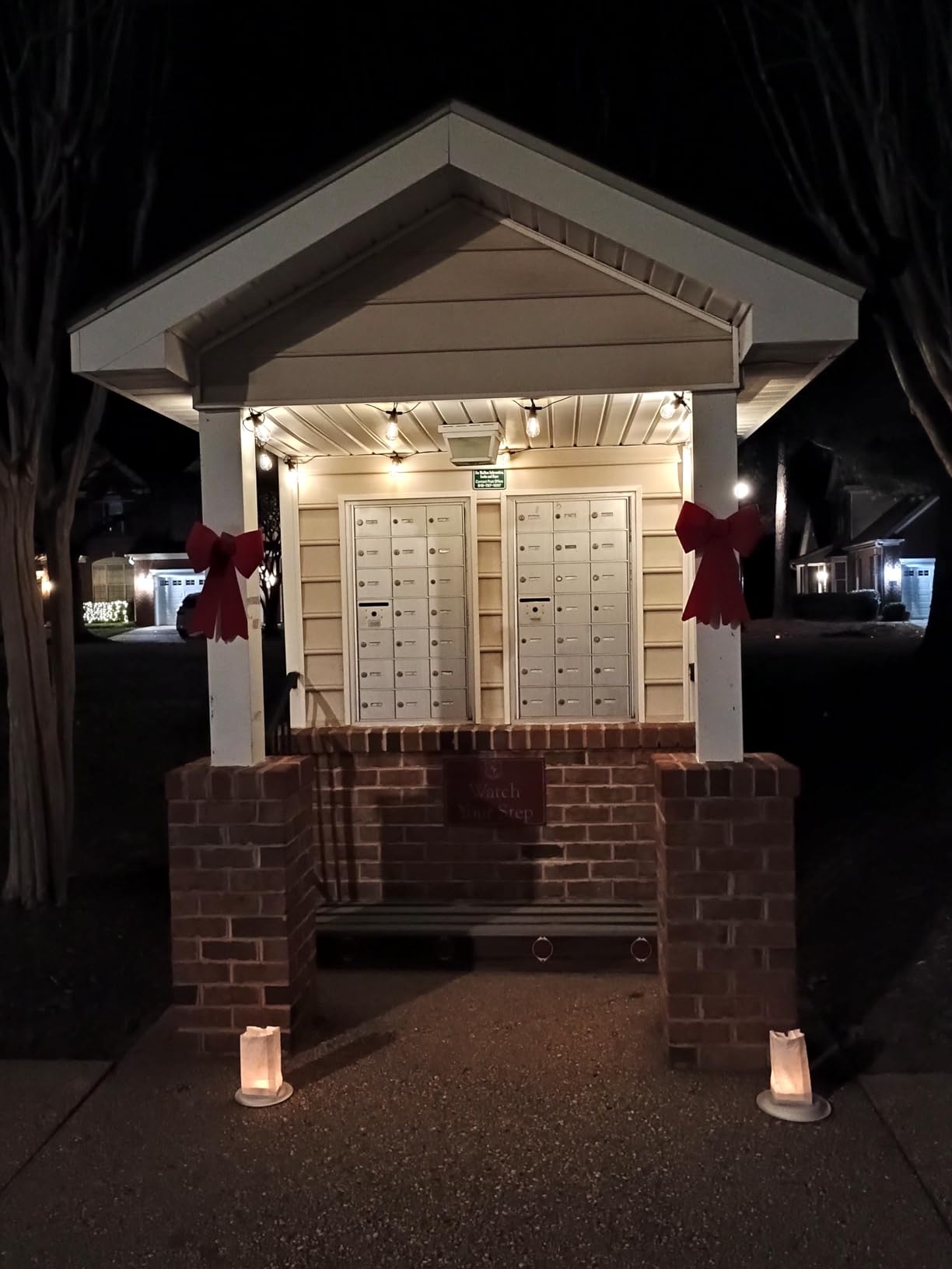 Brightech Ambience Pro Solar Powered Outdoor String Lights -27 ft Commercial Grade Waterproof Edison Patio Lights, Shatterproof LED String Lights for Outside, Porch - 12 Bulbs, 1W Soft White - Customer Photo 1