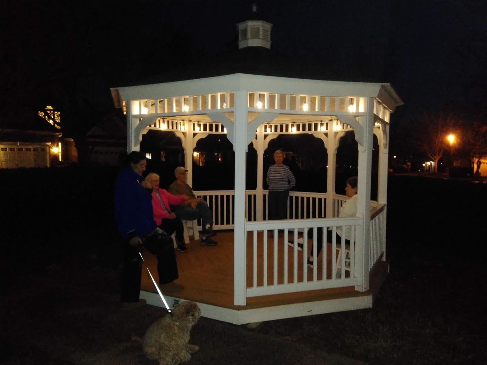 Brightech Ambience Pro Solar Powered Outdoor String Lights -27 ft Commercial Grade Waterproof Edison Patio Lights, Shatterproof LED String Lights for Outside, Porch - 12 Bulbs, 1W Soft White - Customer Photo 2