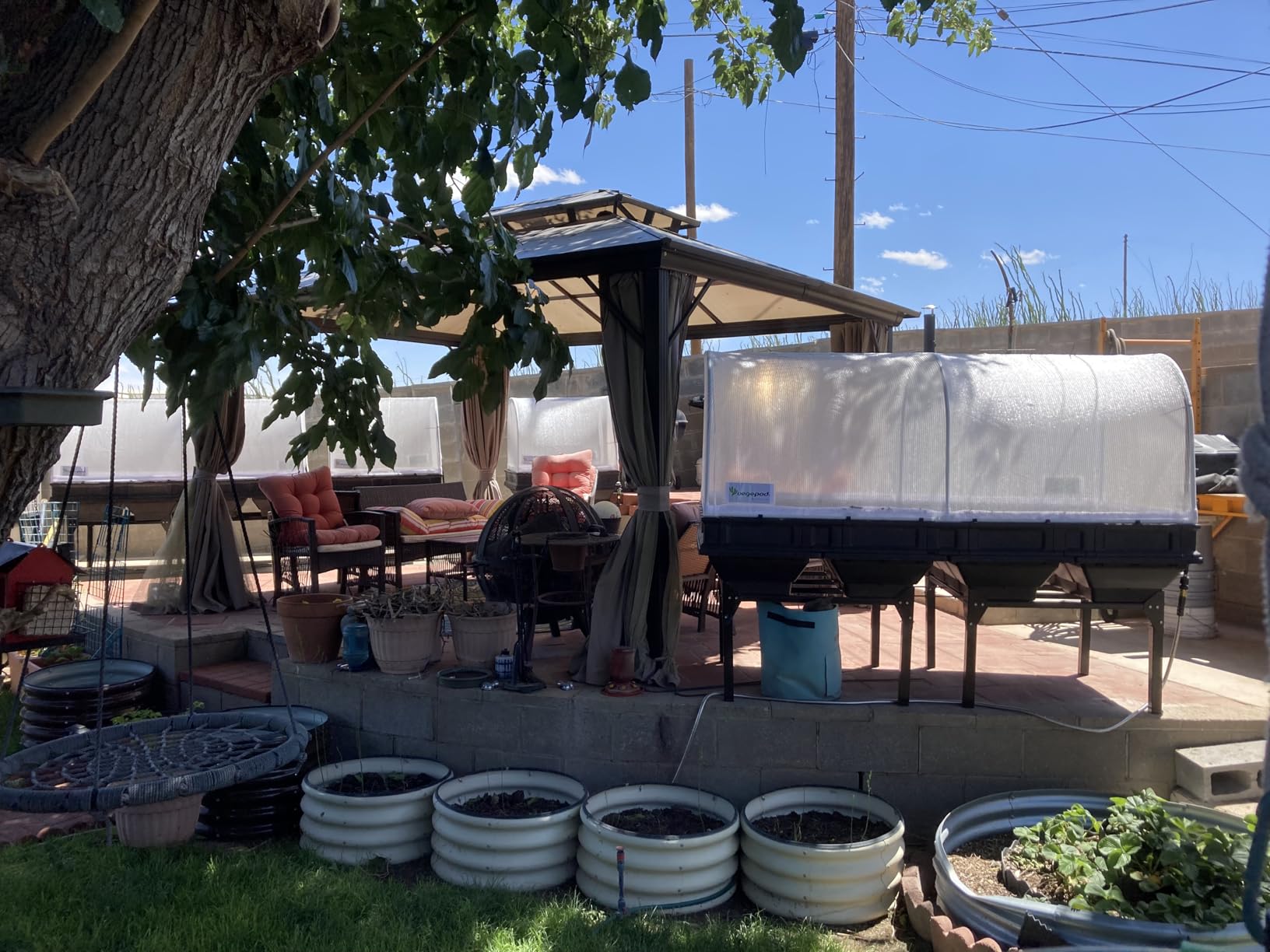 Vegepod - Raised Garden Bed - Self Watering Container Garden Kit with Protective Cover, Easily Elevated to Waist Height, 5 Years Warranty (Large) - Customer Photo 1