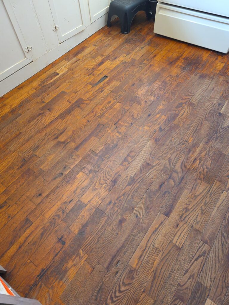 10 Best Steam Mops for Hard Floors