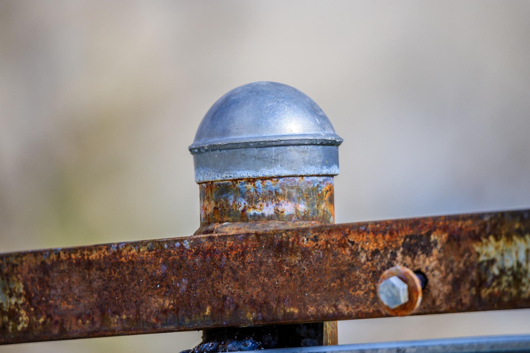 Tamron 100-400mm F/4.5-6.3 VC USD Telephoto Zoom Lens for Canon Digital SLR Cameras (6 Year Limited USA Warranty) - Customer Photo 2