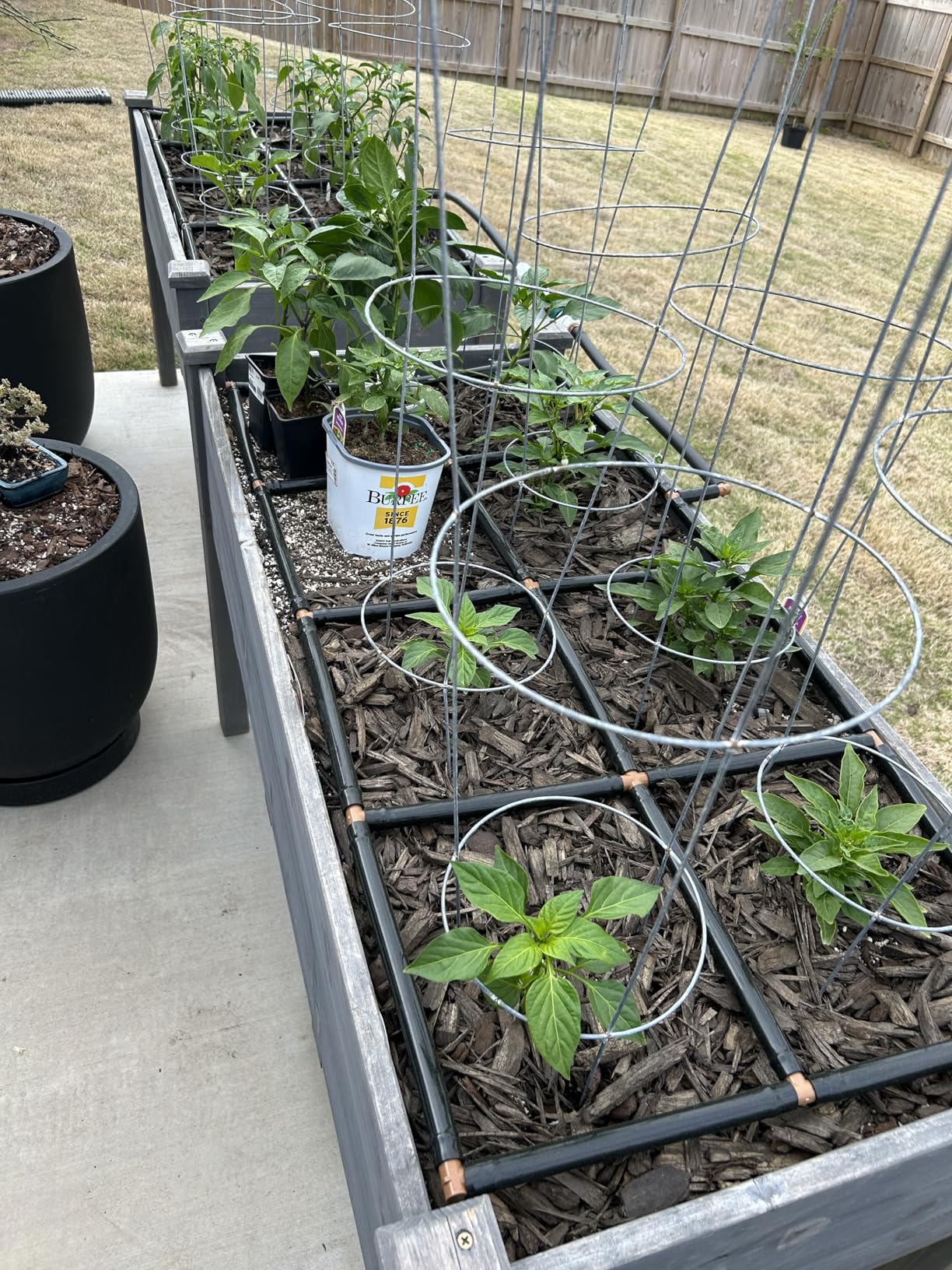 Garden Grid Watering System | Garden Irrigation System for Garden Beds – Pre-Assembled, Waters Every Plant, 2-Min Setup, USA-Made - Customer Photo 2