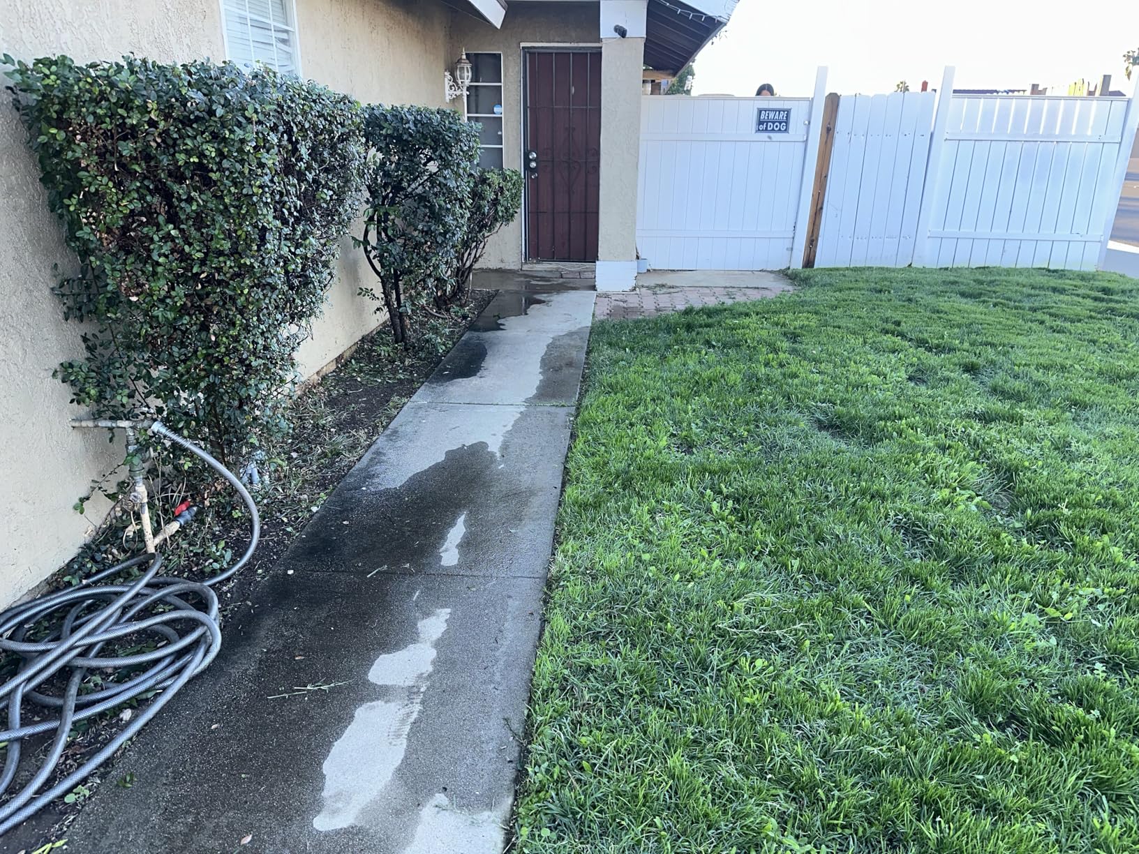 BLACK+DECKER Weed Wacker with Auto Feed, 14-Inch 2 in 1 String Trimmer Lawn Edger, Powerful 6.5-Amp Lightweight Electric Weed Eater (BESTA510) - Customer Photo 1