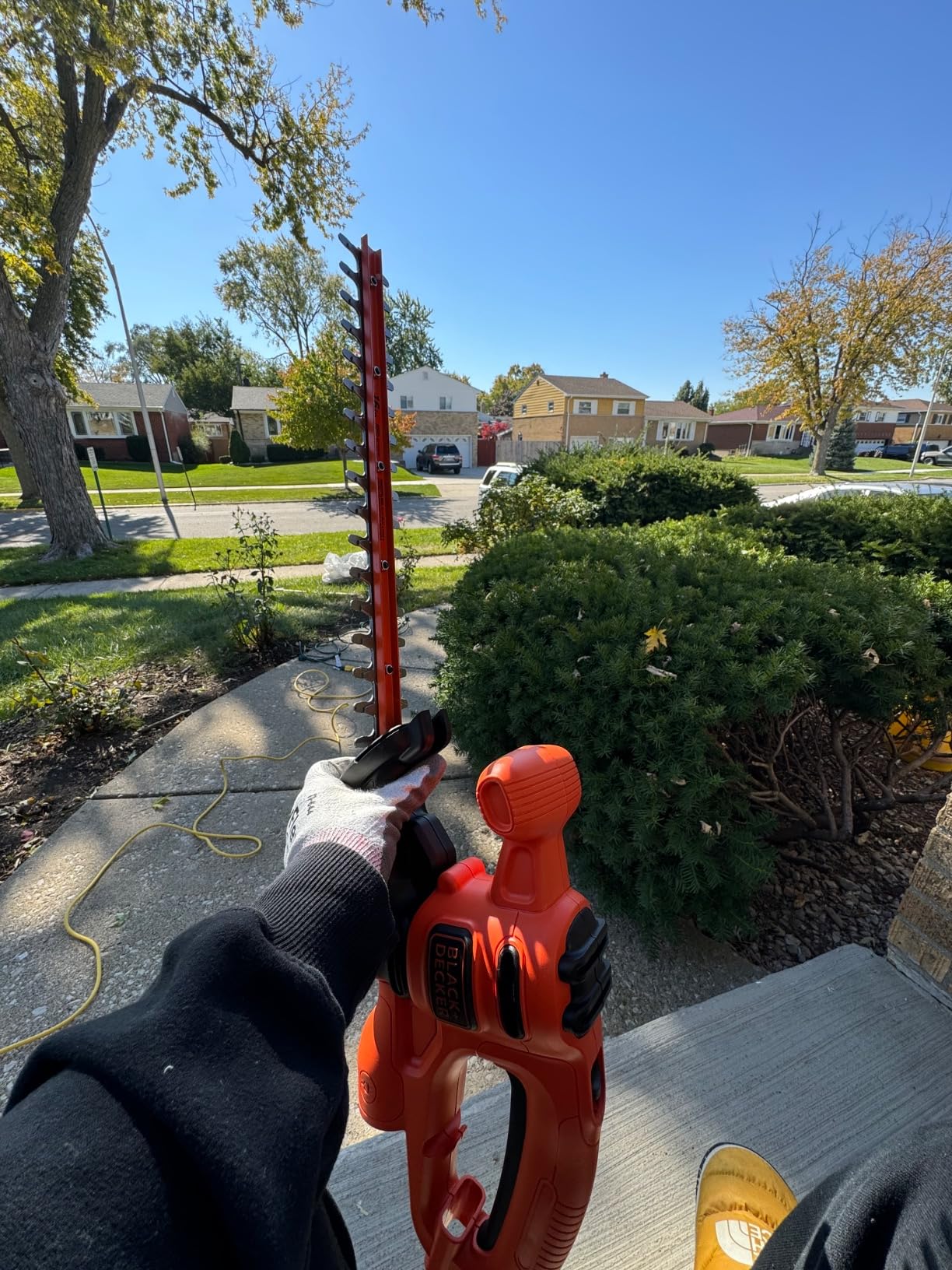 BLACK+DECKER Electric Hedge Trimmer, 16-Inch 3.0 Amp Compact Corded Power Hedge Trimmer (BEHT100) - Customer Photo 3